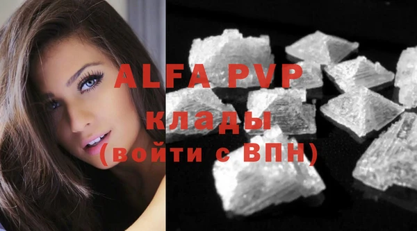 сатива Баксан