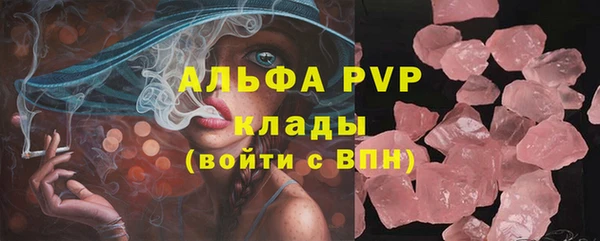 сатива Баксан