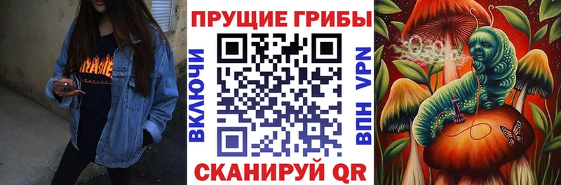 Галлюциногенные грибы Psilocybine cubensis  Кубинка 
